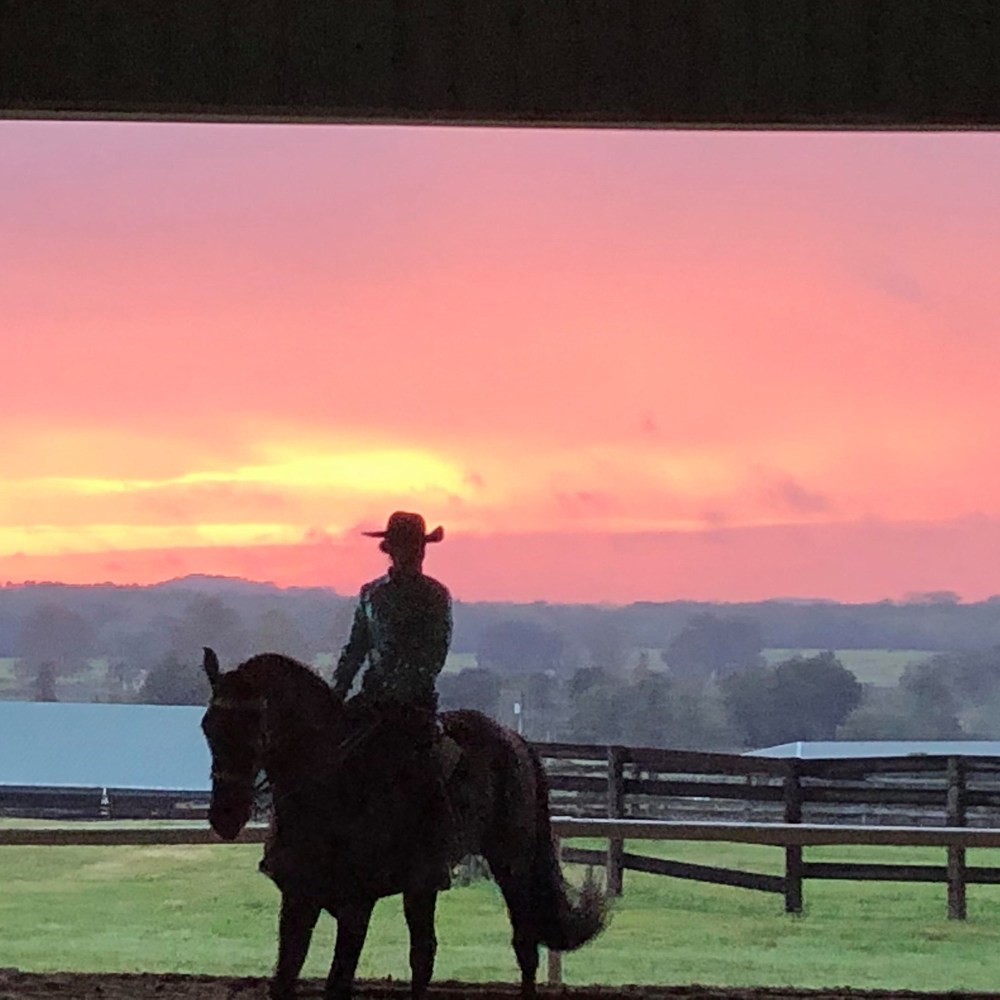 Meet your Posher, Alana